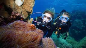 Port Douglas Inmersión y snorkel de día completo en la Barrera de Coral Exterior
