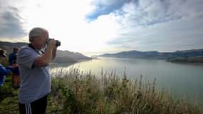 Half-Day Christchurch Scenic Highlights Tour