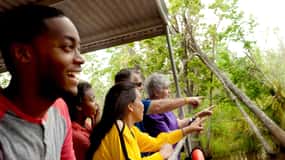 New Orleans: Swamp & Bayou Bootstour mit Transport