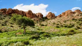 Great Gobi to Khuvsgul Lake 16 Days Tour
