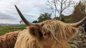 Tour privado del Lago Ness, Pitlochry, Glencoe y las Tierras Altas