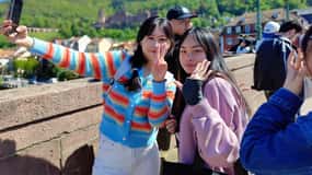 Heidelberg: Tour privato a piedi con guida locale