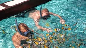 Bora Bora: 1/2 day lagoon safari - Shared tour