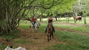 De Medellín: Passeio a cavalo + Visita a Santa Fé de Antioquia