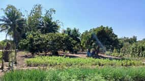 Chiang Mai : Thai Cooking in Farm with a Local Train Trip