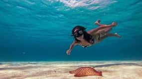 Cozumel: Glass-bottom Boat Snorkeling Adventure