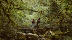 The Wonders of Arifat: A Journey to the Enchanted Waterfall