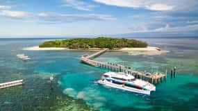 From Cairns: Green Island + Moore Reef Pontoon Combo