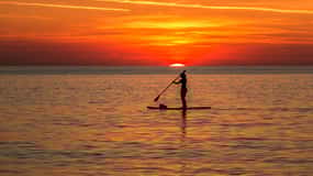 Paddle Board Rental: Glide on the Water with Ease