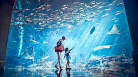 Dubai: Lost Chambers Aquarium Entry Ticket