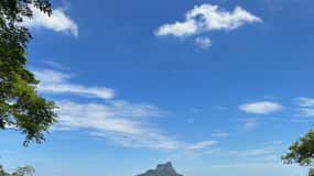 Rio de Janeiro: Tijuca National Park Tour