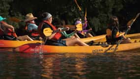 Oleta River State Park: Eco Kayak or Paddleboard Tour