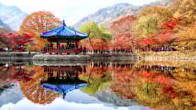 Seoul: Autumn Foliage - Mt. Naejang + Jeonju Hanok Village