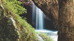 Brisbane: Rainforests, Waterfalls and Glow Worm Cave Tour