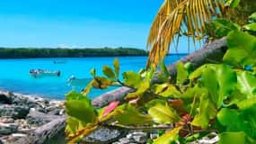 La Romana: Catalina Island Day Trip with Lunch & Drinks