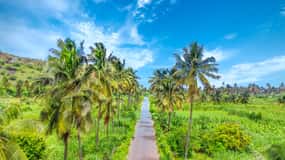 Praia: Day trip by minibus for cruise passengers