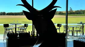 Melbourne: Private Wine tasting Yarra Valley Tours