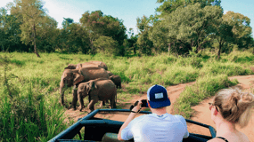All-Inclusive Habarana HuruluEco Park Privé Halve Dag Safari