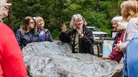 San Francisco Grand City Tour + Muir Woods and Sausalito
