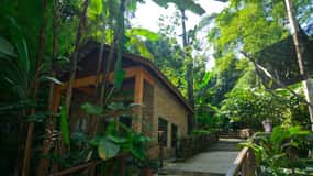 Fra Kuala Lumpur: Taman Negara privat tur