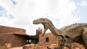 From Longreach: Outback Winton Full Day Tour