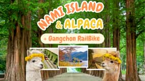 Séoul : Alpaca World & Nami Island (+Gangchon Railbike)