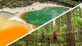 Auckland: Rotorua Day Tour inc WaiOTapu & Redwoods Treewalk