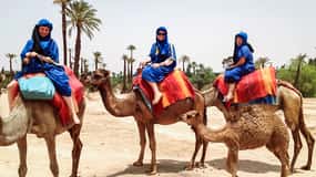 Marrakech: Kamelenrit in de Oase Palmeraie