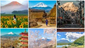 Tokyo: Mount Fuji & Hakone Private Customized Guided Trip