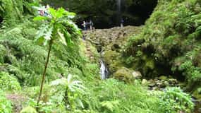 Levada Walk and Caldeirao Verde Waterfalls: Madeira