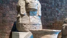 Guided Tour of the Museum of Anthropology