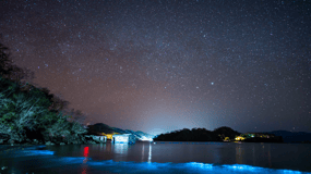Bioluminescence Tour; Speedboat, Camping (From Puntarenas)