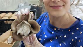 Zurich's best-kept secret: the hidden world of mushrooms!