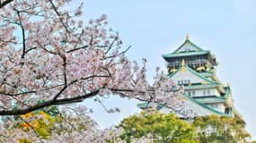 Aanpasbare Osaka Autotour met Engelssprekende chauffeur