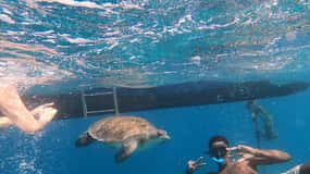 Santa Maria: tour guidato di snorkeling con relitti e barriere coralline