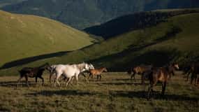 Adventure Tour: Adrenaline Rush in Sevan, Dilijan and Ijevan
