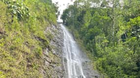 Oahu: Manoa Falls Hike and east side beach day