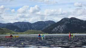 Lake Skadar unique day-long kayaking tour from Budva