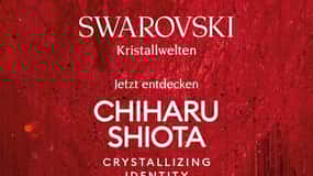 Wattens: Swarovski Kristallwelten Eintrittskarte