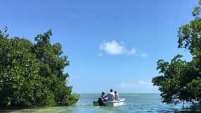 Cayo Hueso Excursión en lancha por los Manglares y los Bares