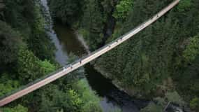 Vancouver & Capilano Suspension Bridge Sightseeing: Half-Day