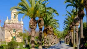 Ragusa, Modica, Scicli: tour privato delle città barocche