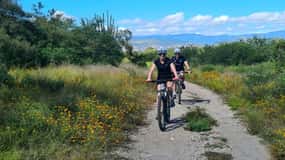 MTB Bike Tour: Tule Tree through the country-side