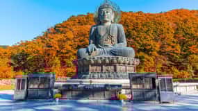 Seoul: Mt. Seoraksan National Park Autumn Foliage Day Tour