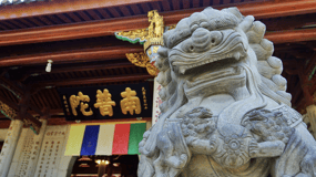 Excursions à Xiamen pendant une escale : 4 h/8 h, des charmes de la ville aux rêves insulaires