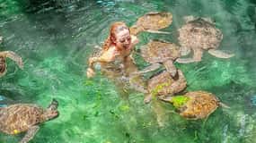 Zanzibar: Baraka Aquarium Feed, Swim & Snorkel with Turtles