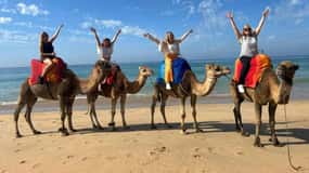 Tangier: Private Half-Day Tour and Camel Ride