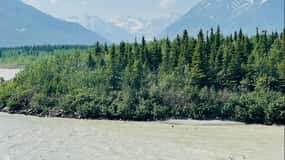 Whittier to Anchorage Scenic Transfer with Guide