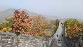 Private Trip to Great Wall+Panda House with English Driver