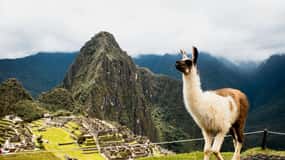 Aguas Calientes: Biglietto ufficiale di Machu Picchu, autobus e guida